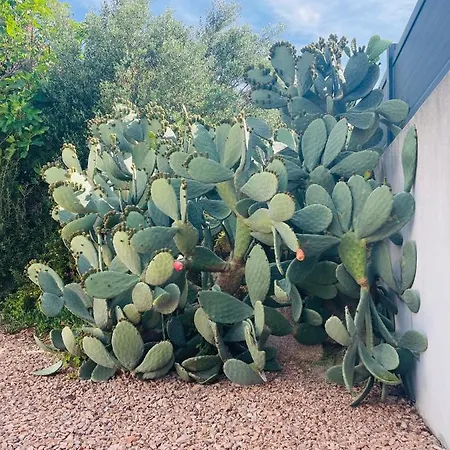 Porto-vecchio 4 Avec Piscine Porto-Vecchio (Corsica)
