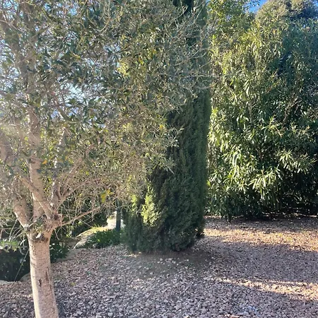 Porto-vecchio 4 Avec Piscine * 维琪奥港