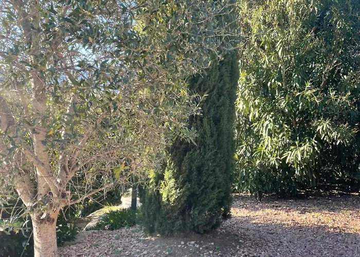 Porto-vecchio 4 Avec Piscine * Porto-Vecchio (Corsica)